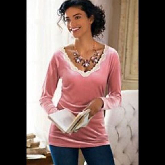Soft Surroundings Vintage Velvet stretch top. 2-4 - Picture 2 of 8
